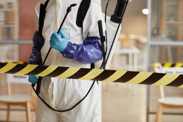 Professional Sewage Cleanup technician working in East Taunton, MA